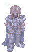 Paladin Randel.gif
