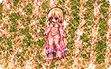 Service For You Info.gif