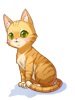 Orange Tabby Cat Image.jpg