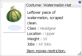 Costume Watermelon Hat.png
