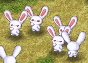 White Rabbit Mob2023.jpg