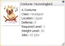 Costume Humming Bird.jpg